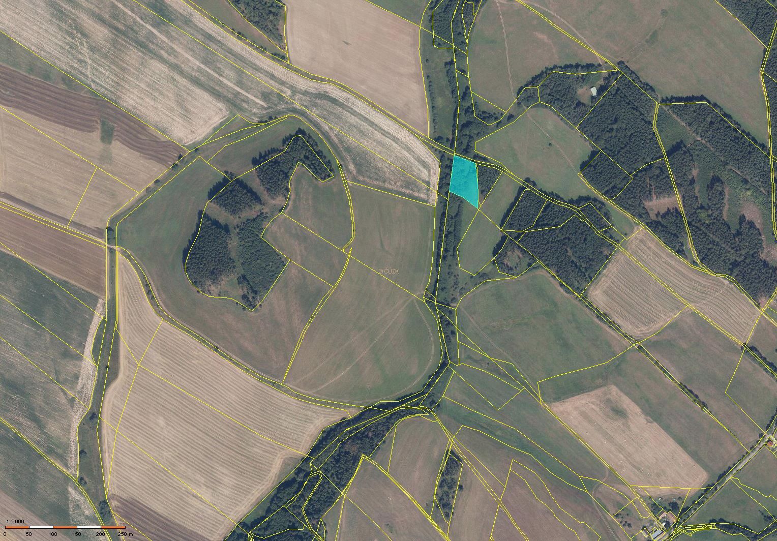 Prodej 0,452 ha půdy v k.ú. Benešov u Broumova, obrázek č. 1