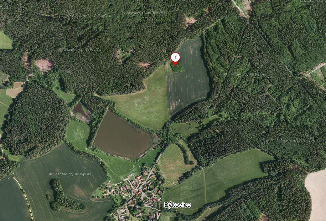 Prodej 4570 m2 půdy v k.ú. Býkovice u Louňovic, obrázek č. 3