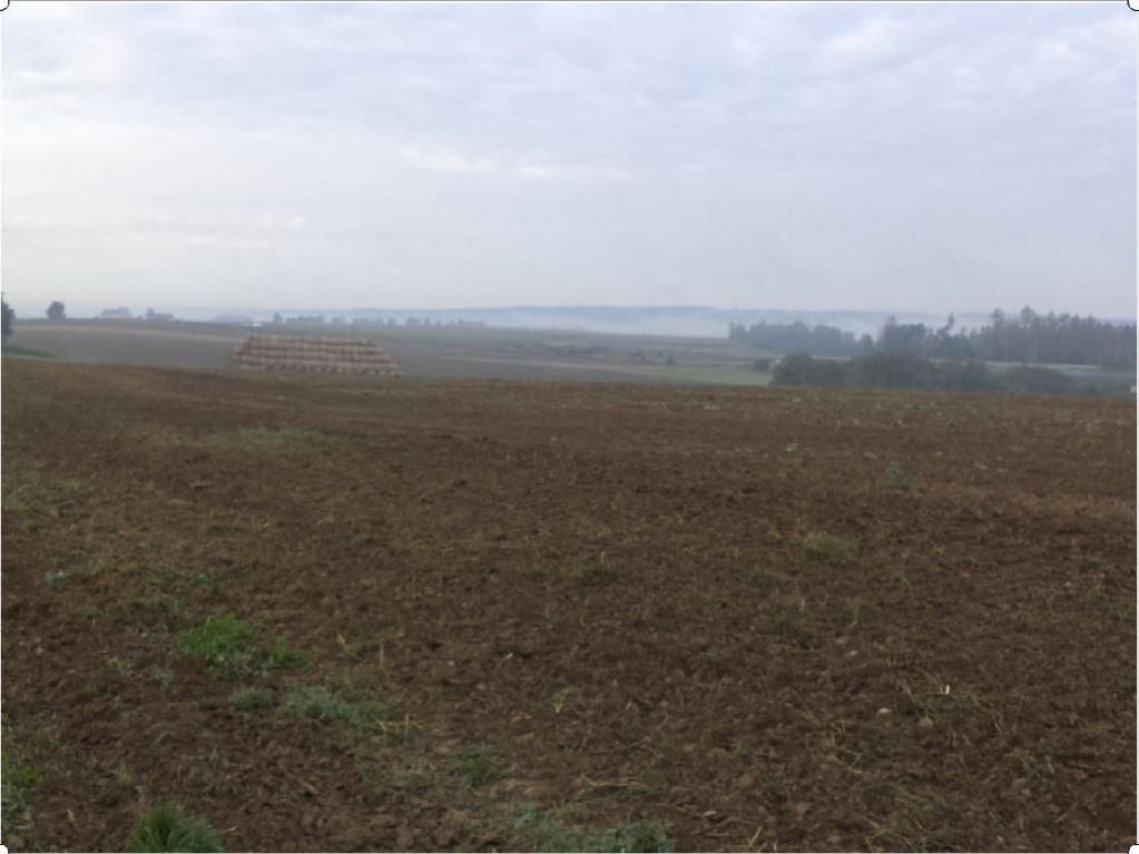 Pozemek o velikosti  22070 m2, Myslkovice, podíl 2/22, obrázek č. 1