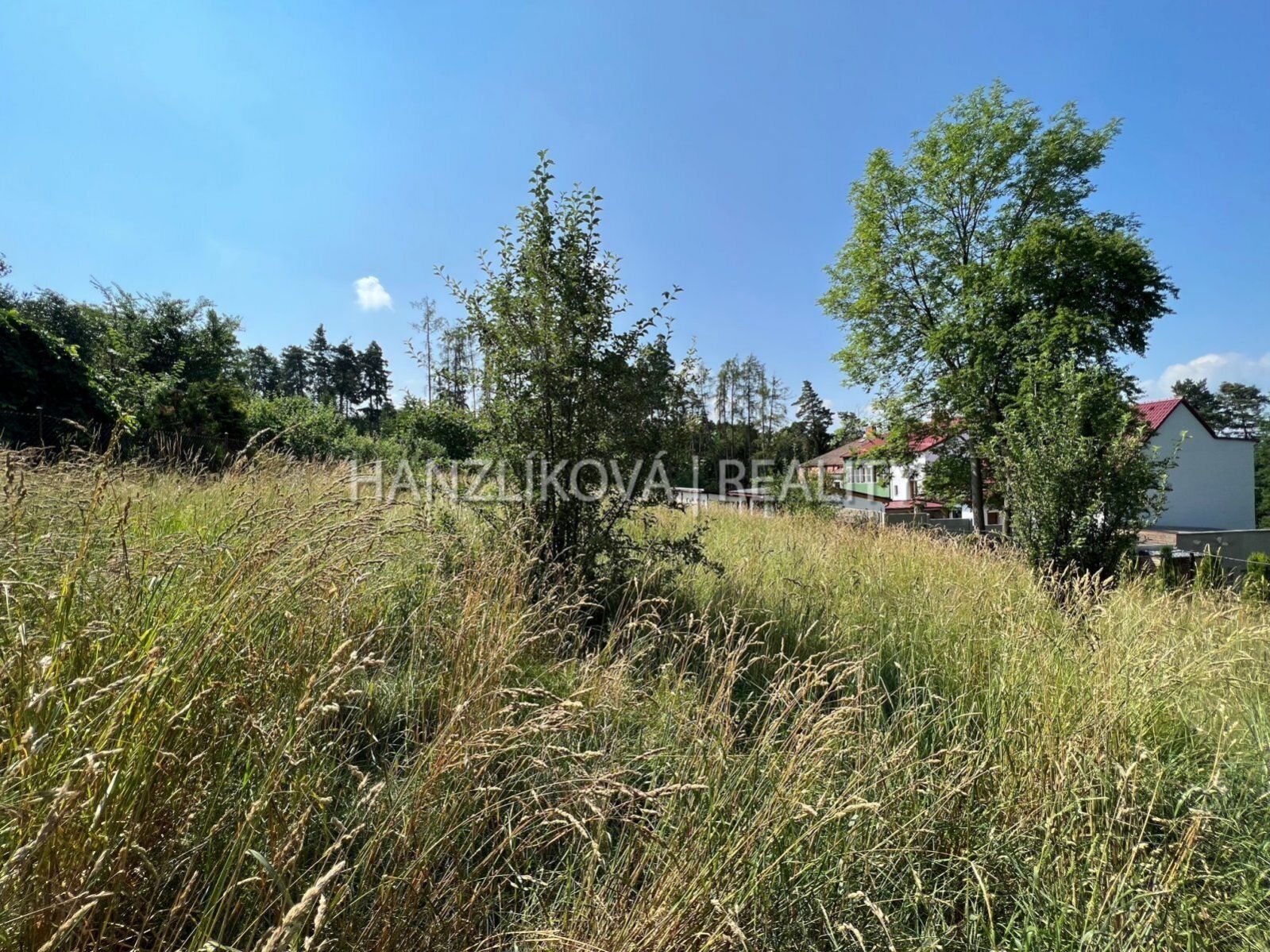 prodej stavebního pozemku na rodinný dům, 1754 m2, Třebotovice u Dobré Vody u Českých Budějovic, obrázek č. 2