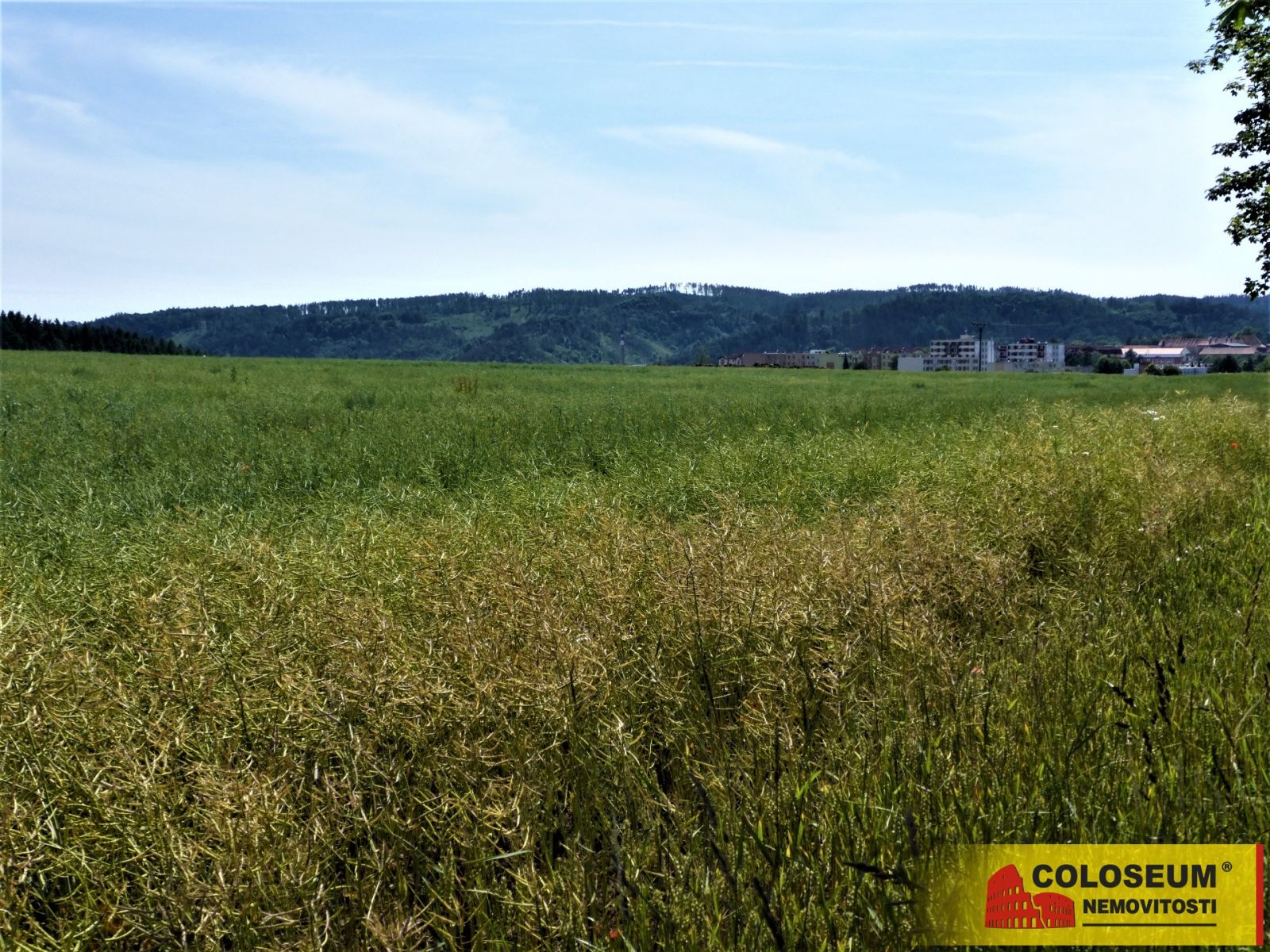 Letovice - zemědělská půda  7 225 m2 - pozemek, obrázek č. 2