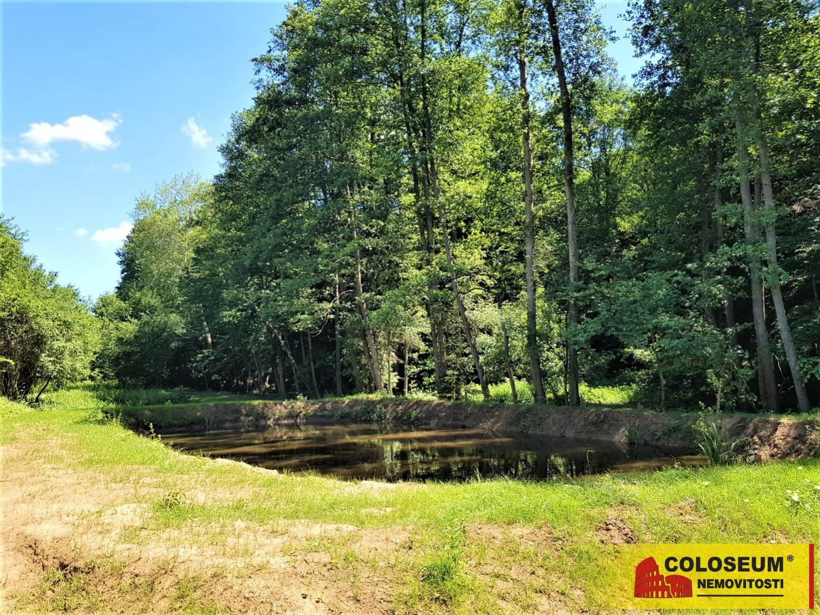 Svinošice -  louka s rybníčkem, 4680 m2  pozemek, obrázek č. 1