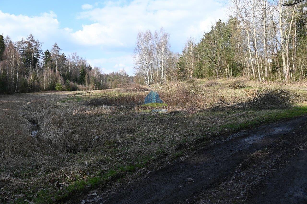 Pozemky vhodné na výstavbu malé vodní plochy (rybník) nedaleko Františkových Lázní na prodej, obrázek č.2