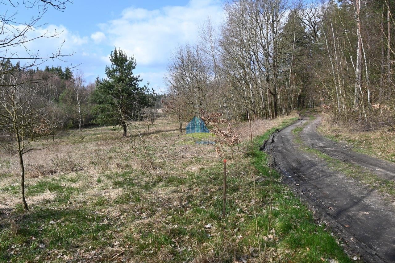 Pozemky vhodné na výstavbu malé vodní plochy (rybník) nedaleko Františkových Lázní na prodej, obrázek č.3