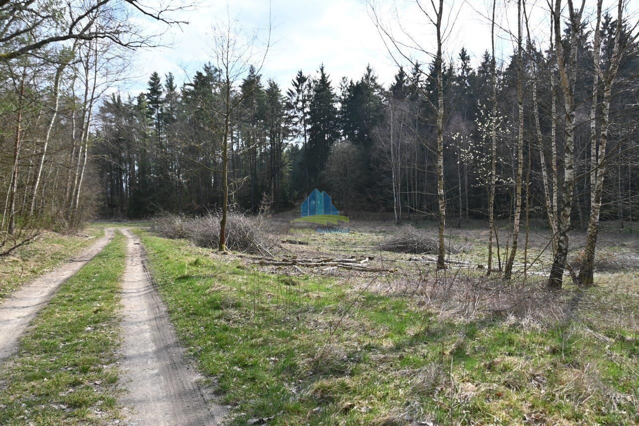 Pozemky vhodné na výstavbu malé vodní plochy (rybník) nedaleko Františkových Lázní na prodej, obrázek č.5