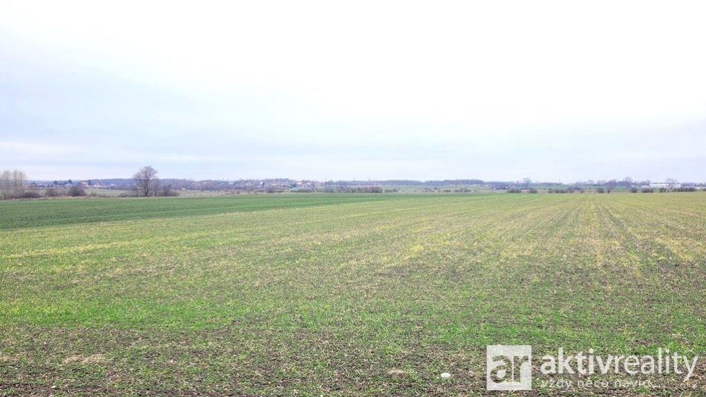 Prodej, Zemědělská půda, 32 955 m2 - Kostelec nad Labem - Jiřice, obrázek č. 2