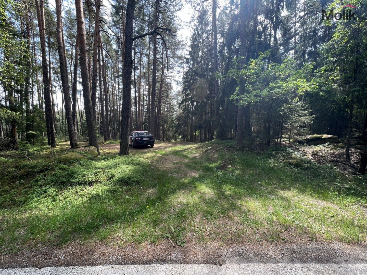 Prodej lesa, OV, 2 123 m2, Kadov - Vrbno, obrázek č. 3