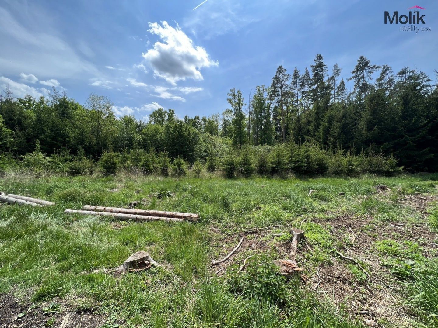 Prodej lesa, OV, 1 948 m2, Kadov - Pole, okres Strakonice, obrázek č. 1