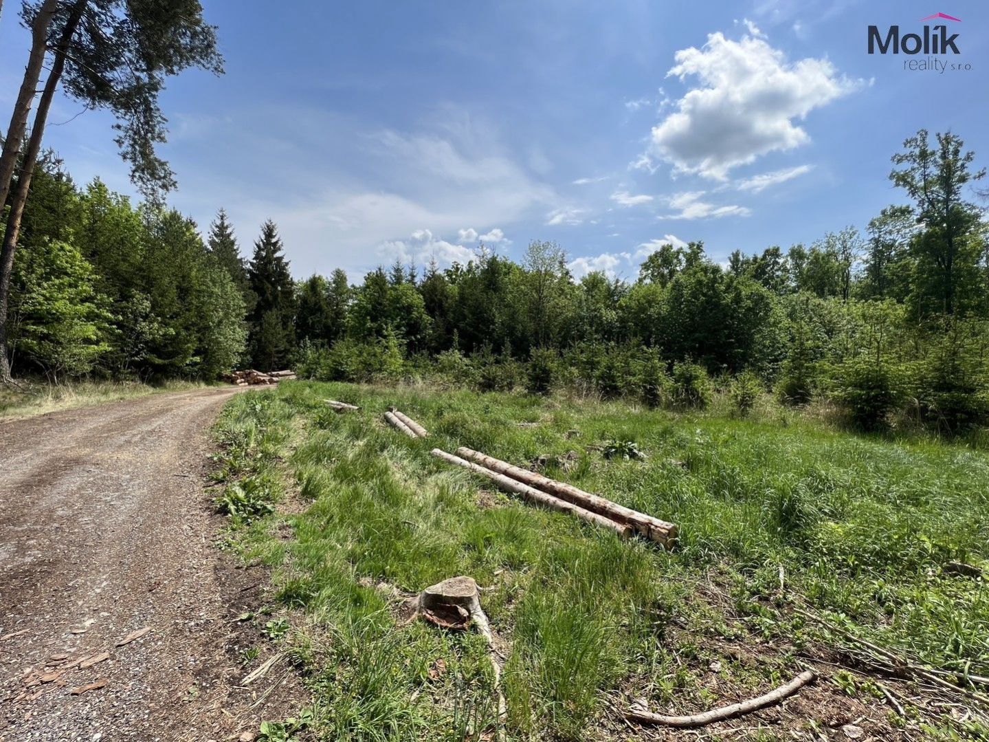 Prodej lesa, OV, 1 948 m2, Kadov - Pole, okres Strakonice, obrázek č. 2