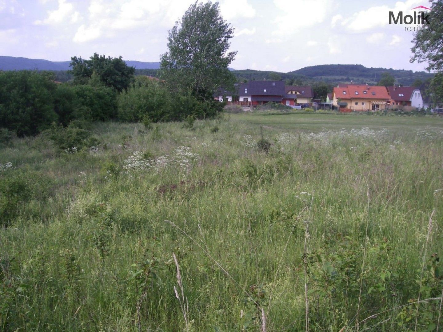 Prodej, pozemek 4169 m2, Chabařovice, obrázek č. 2
