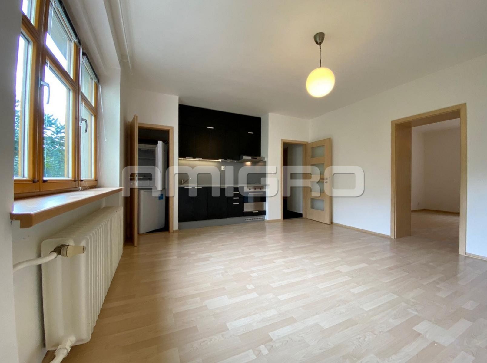 Pronájem bytu 2+kk, 46 m2, Brno - Veveří, Obilní trh, obrázek č. 3
