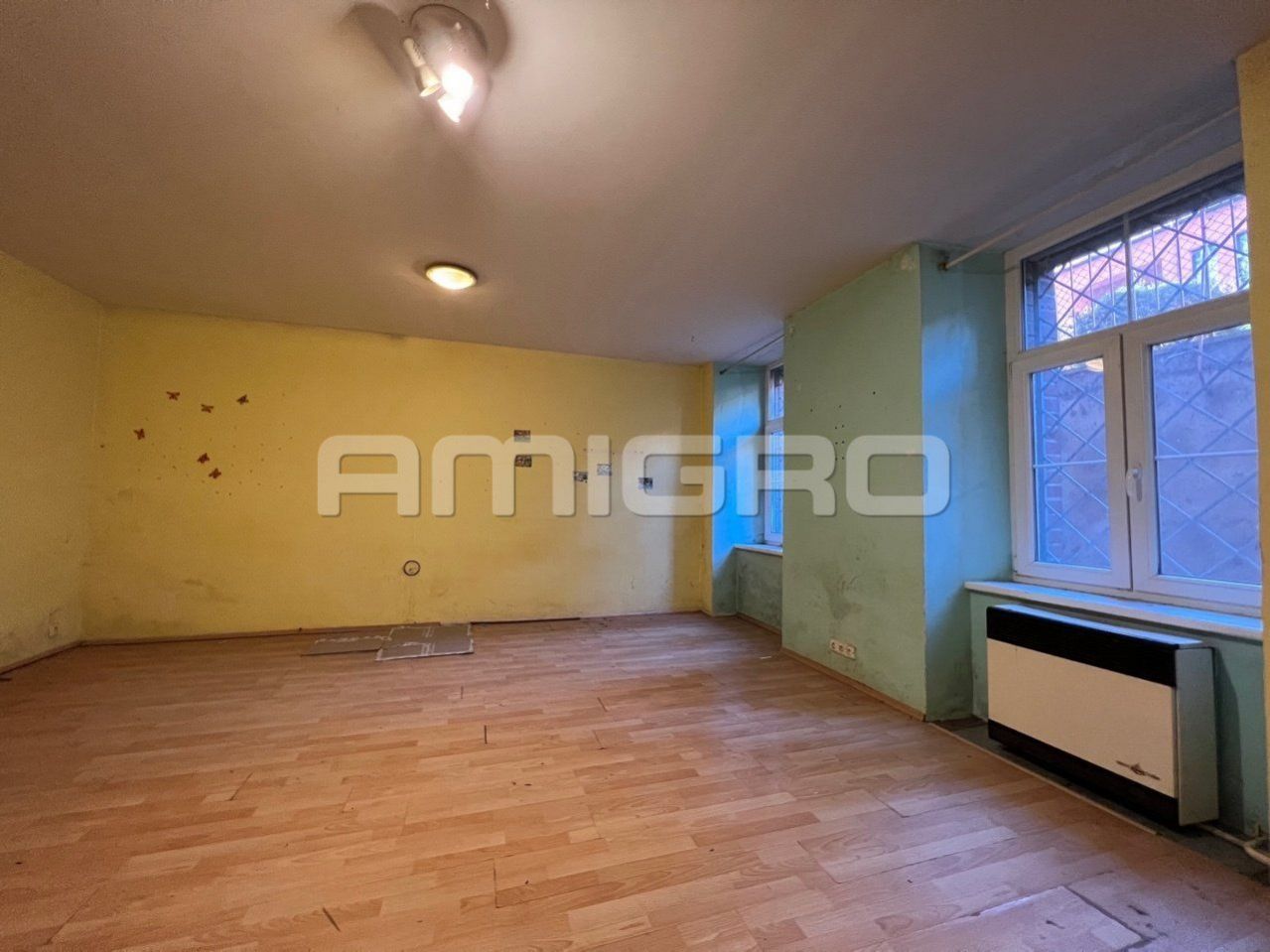 Prodej nebytového prostoru s anglickým dvorkem, 67 m2, Brno - Veveří, Čápkova, obrázek č.2