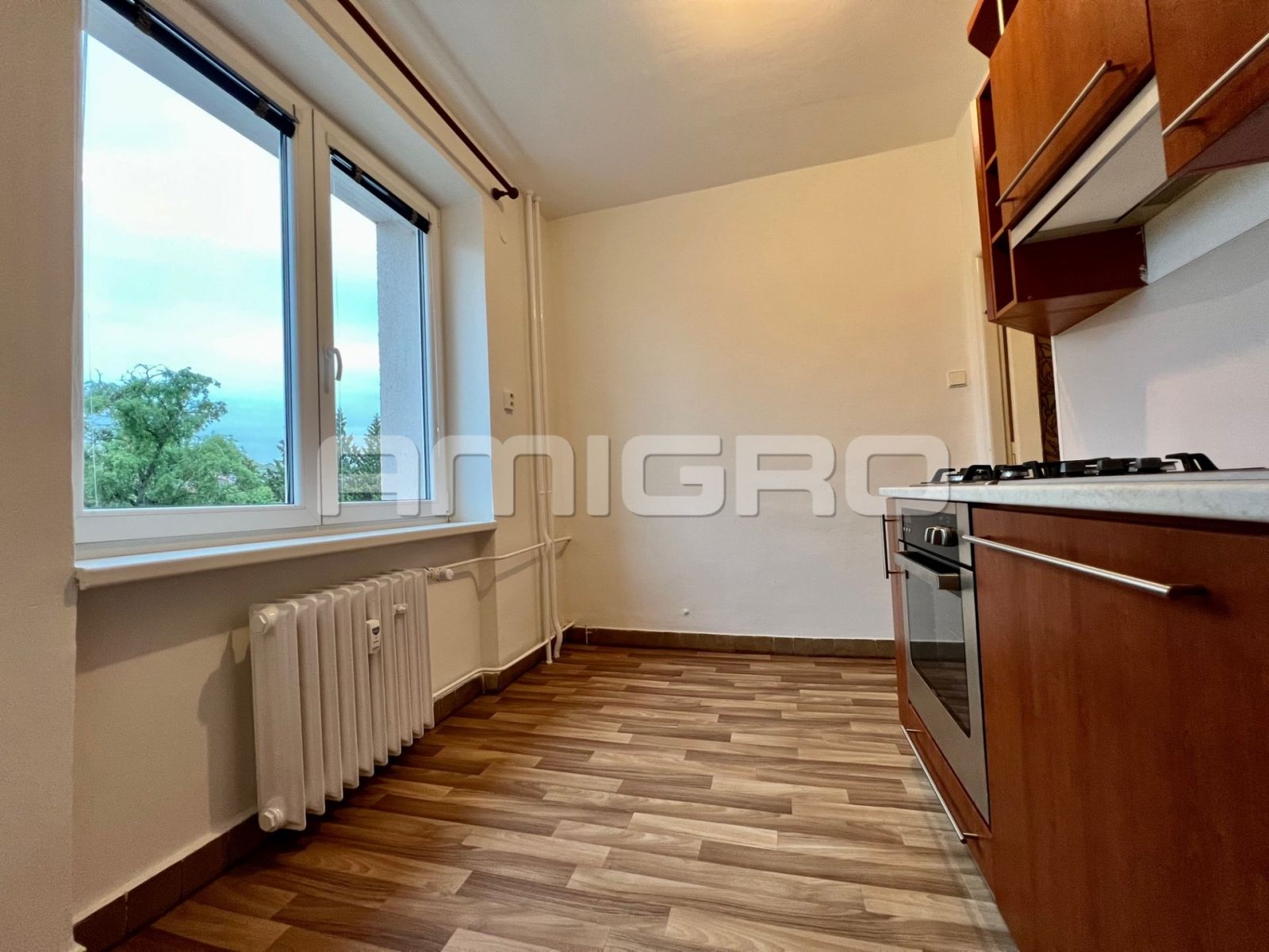 Pronájem bytu 1+1,  38 m2, Brno - Štýřice, Polní