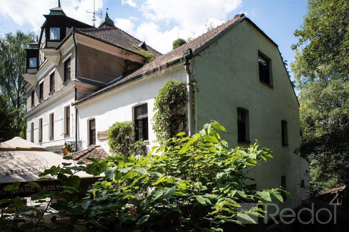 Prodej vodního mlýnu (zámečku), nyní penzion 13 pokojů, 825 m2, Brno - Žebětín, obrázek č. 2