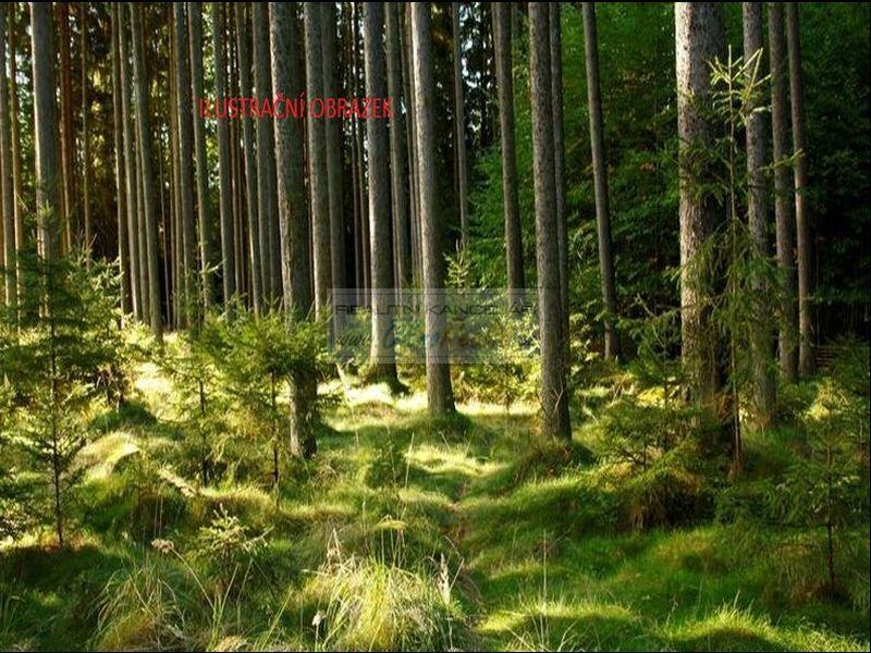 Dražba souboru lesních pozemků o celkové výměře 35625 m2 v k.ú. Rovensko