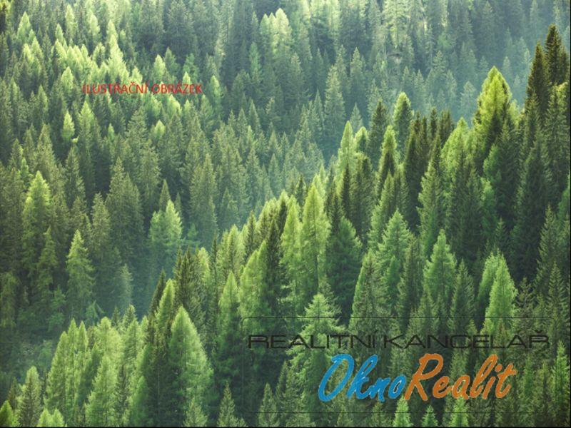Prodej souboru lesních pozemků v k.ú. Rovensko, okr. Šumperk, obrázek č. 3