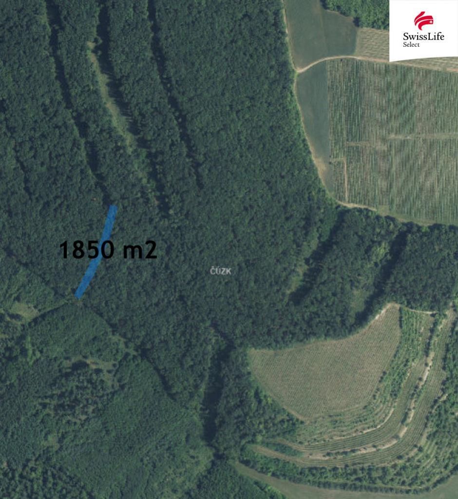 Prodej lesa 1850 m2, Brumovice, obrázek č. 2