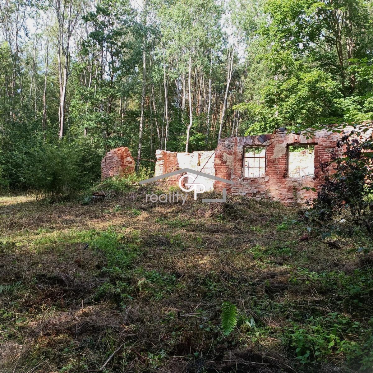 Prodej stavebního pozemku s lesem 1.272 m2, Kamenný Újezd, obrázek č. 3