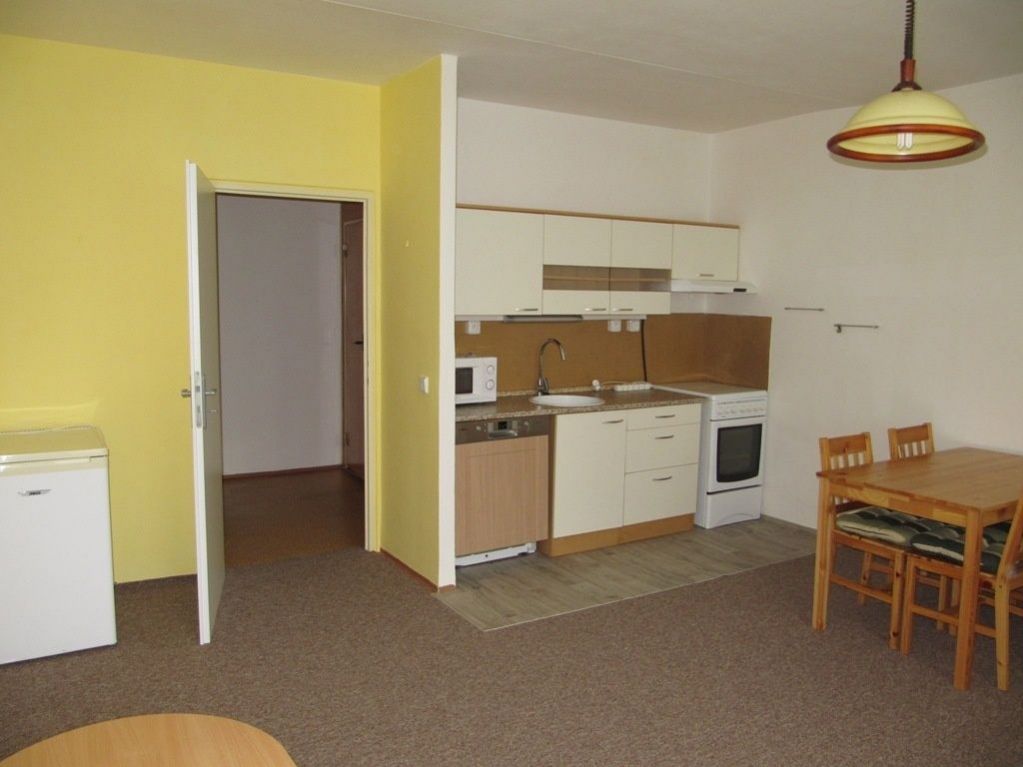Pronájem bytu 1+kk, v revitalizovaném domě na ul. Bořetická, Brno - Vinohrady, obrázek č. 2