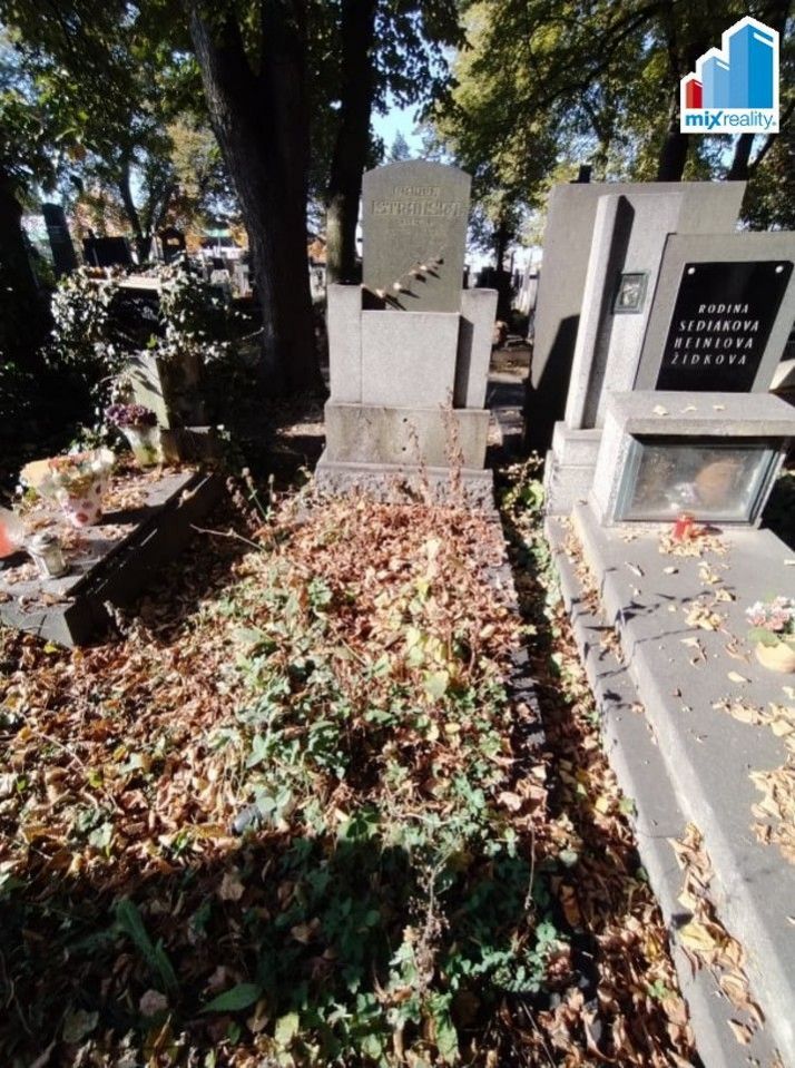 Prodej hrobu na Ústředním hřbitově v Plzni, obrázek č. 1
