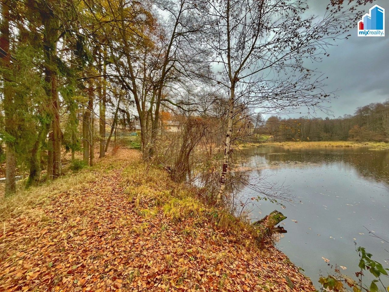 Prodej - Velký vísecký rybník o výměře 14 487 m2 u obce Čmelíny, okres Plzeň - jih, obrázek č. 3