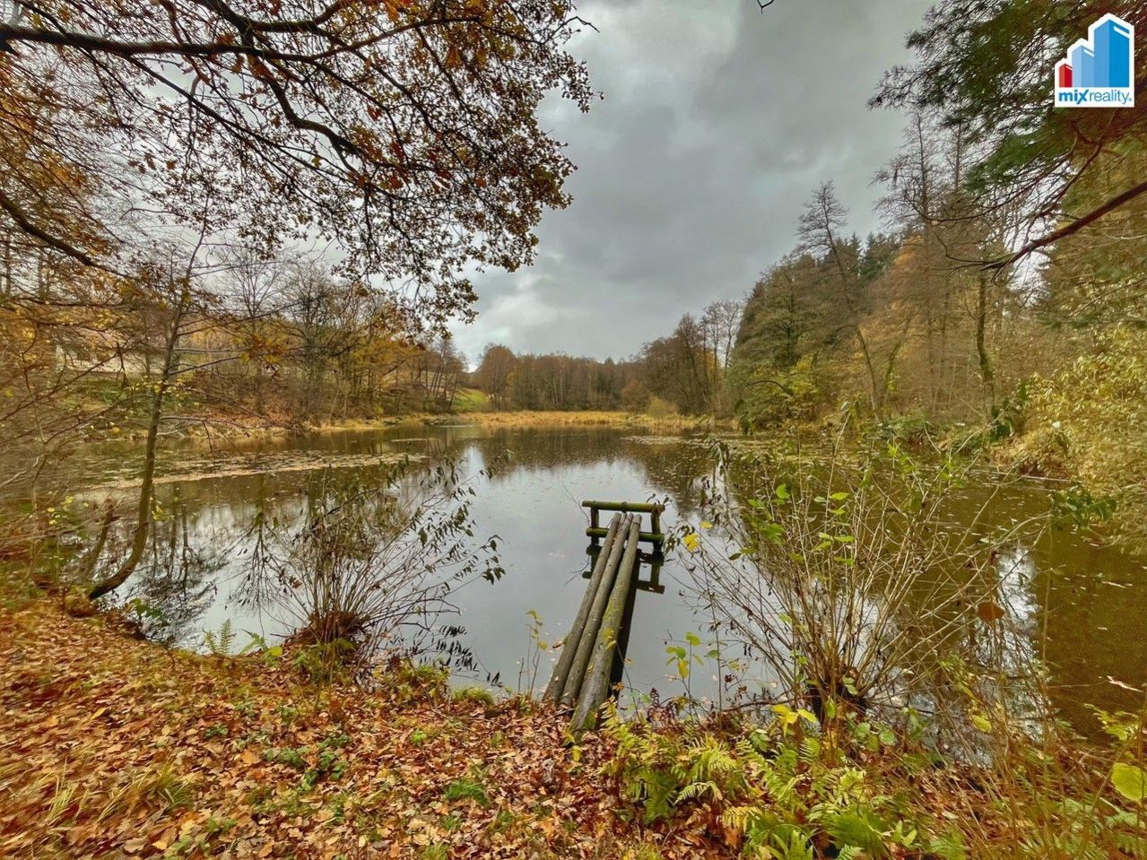 Prodej - Velký vísecký rybník o výměře 14 487 m2 u obce Čmelíny, okres Plzeň - jih, obrázek č. 1