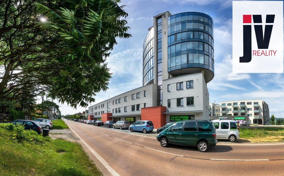 Prodej jedinečného bytu 3+kk/T, OV, Plzeň - Černice, Nepomucká ul., obrázek č.7