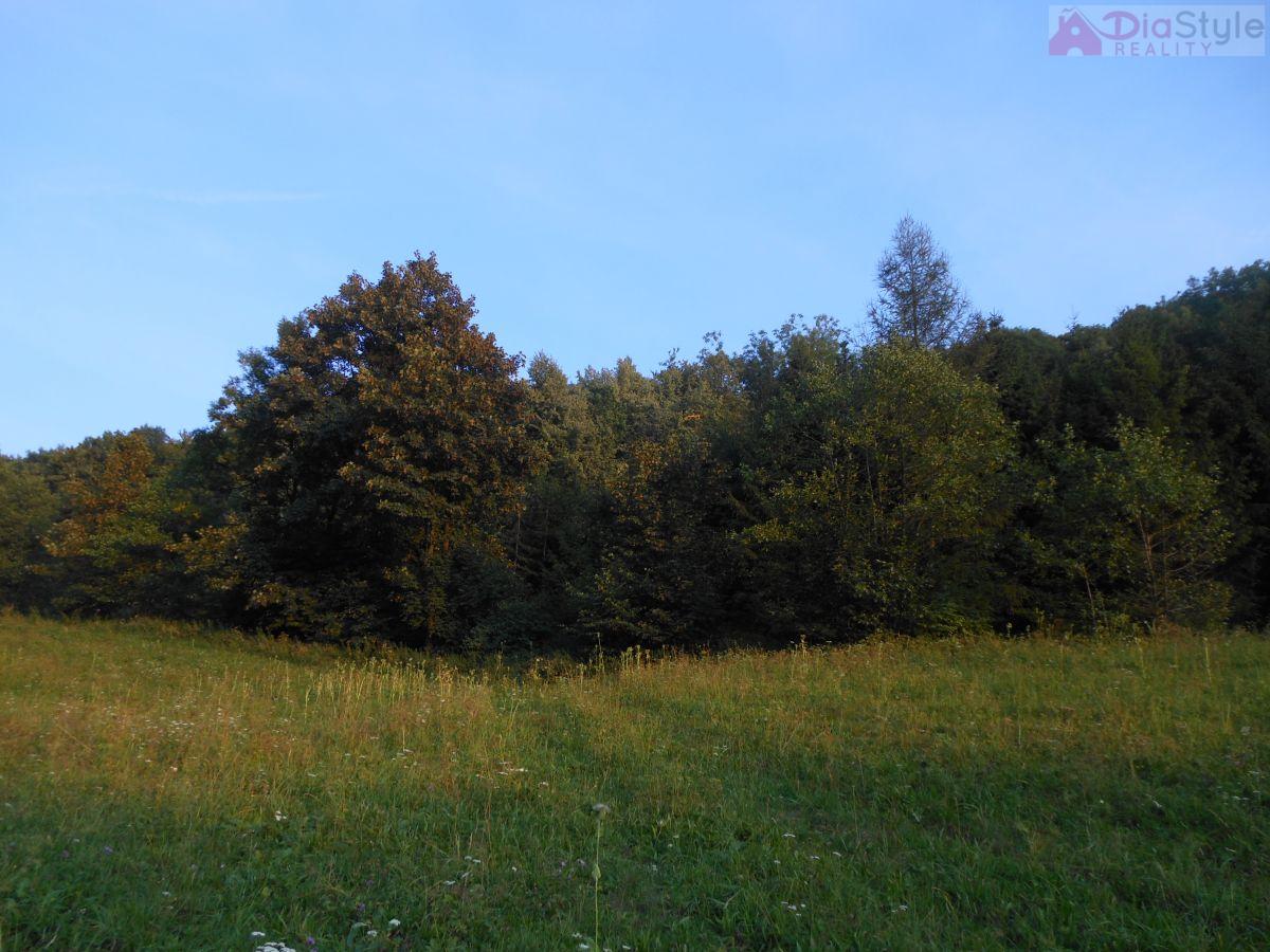 Prodej pozemků v Kojetíně, louka  12 238 m2 a les 465 m2, obrázek č. 2