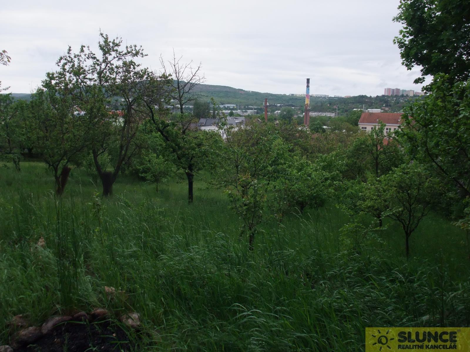 Zahrada na rozhraní Lesné, Černých polí a Husovic, obrázek č. 1