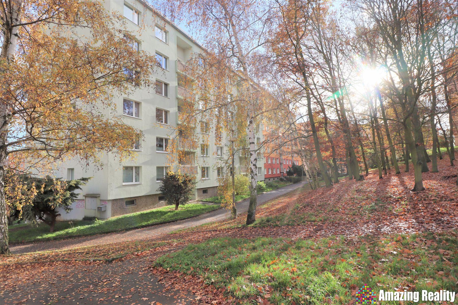 Prodej bytu 3+1, 65 m2, OV, v ul. Skalková, Chomutov