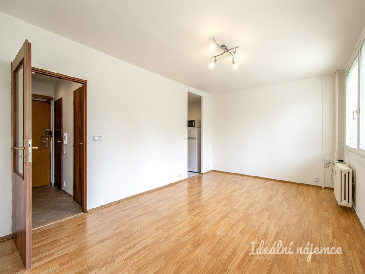 Pronájem bytu 1+kk, Lodžská, Bohnice, 13300 Kč/měs, 32 m2, obrázek č. 1
