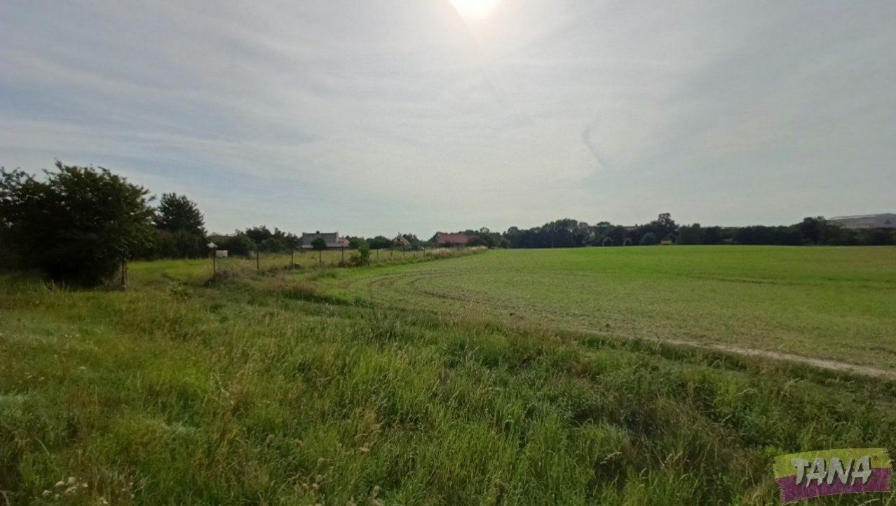 Prodej zemědělská půda, 23 699 m2 - Všejany - Vanovice, obrázek č. 2