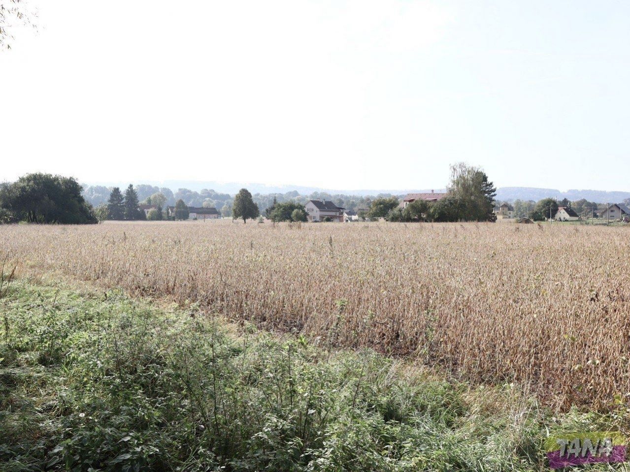 Prodej zemědělská půda, 27 614 m2 - Dvůr Králové nad Labem, obrázek č. 3
