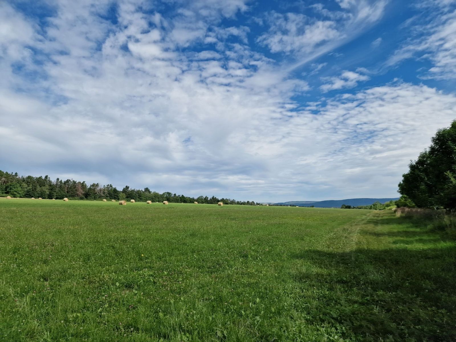 Zemědělská půda 35 km od Prahy ve směru na Plzeň o celkové výměře 15.147 m2