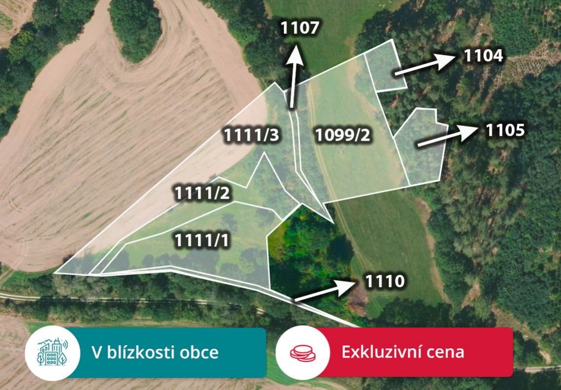 Zemědělská půda, prodej, Slatina, Klatovy, obrázek č. 1