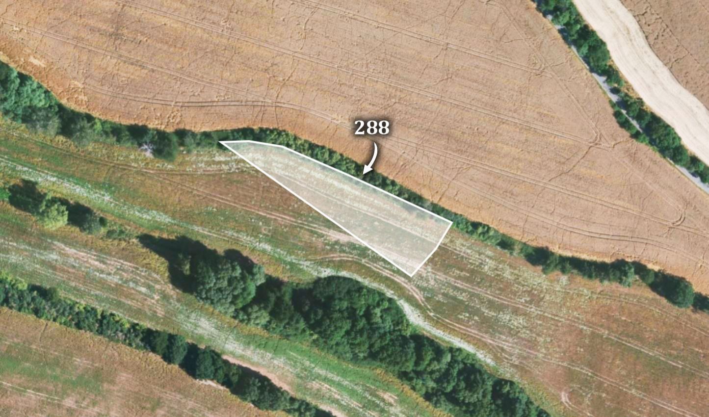 Zemědělská půda, prodej, Nučice, Praha východ, obrázek č. 3