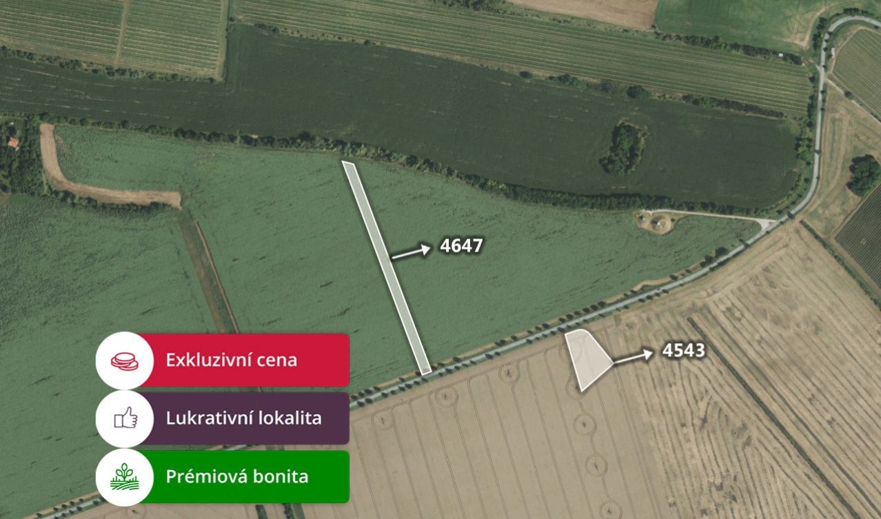 Zemědělská půda, prodej, Újezd u Brna, Brno-venkov, obrázek č. 1