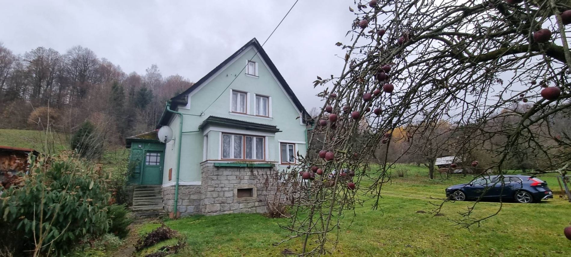 Prodej rod. domu 3+1 na polosamotě s velkým pozemkem  a vlastním lesem (11 142 m2) v obci Tomíkovice, obrázek č. 1