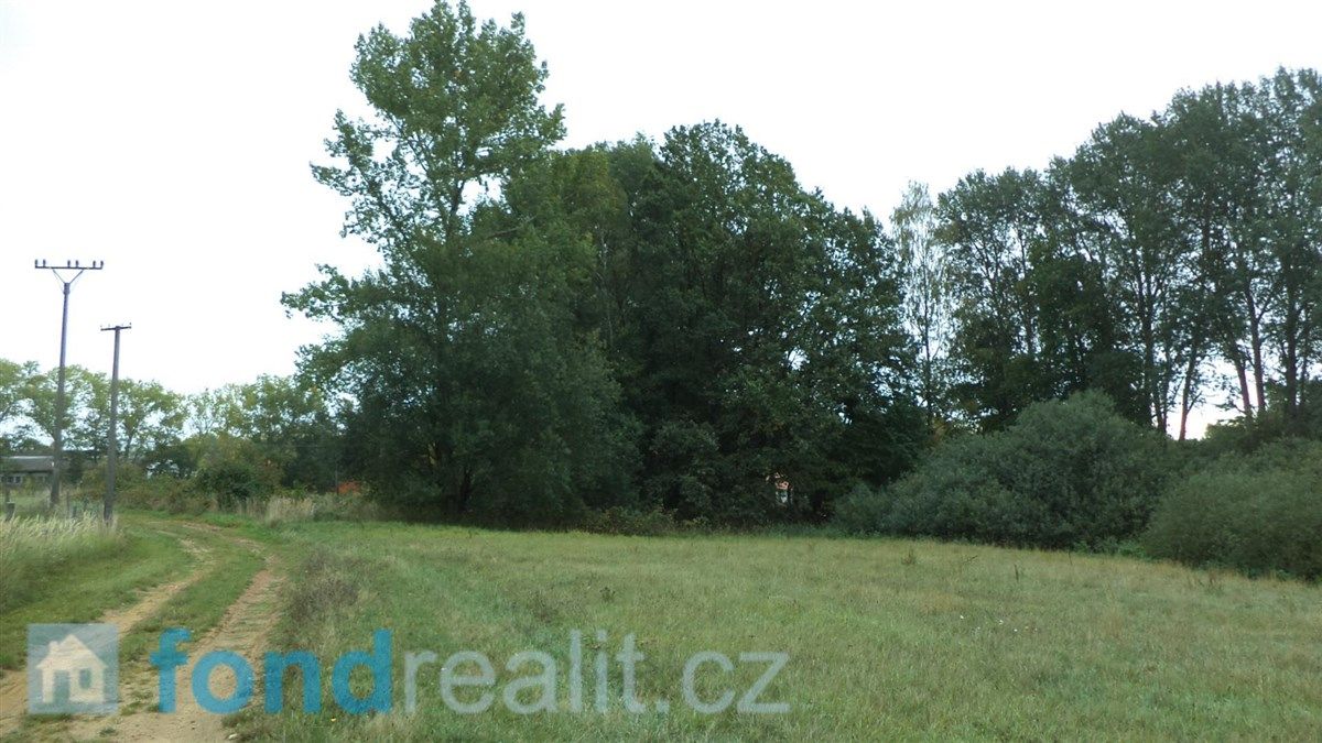 Prodej pozemků Popovice u Dolního Bukovska, obrázek č. 2