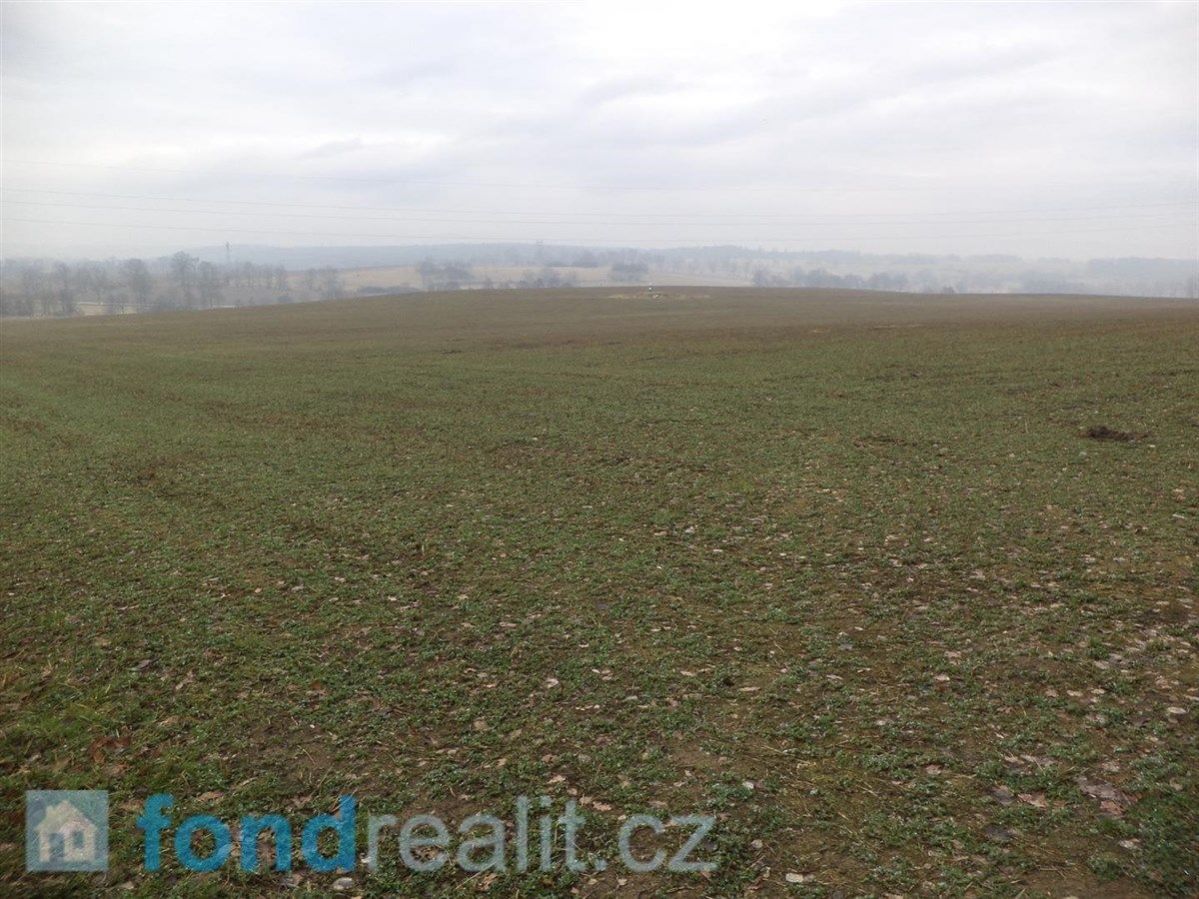 Prodej zemědělského pozemku Drahonice, obrázek č. 1