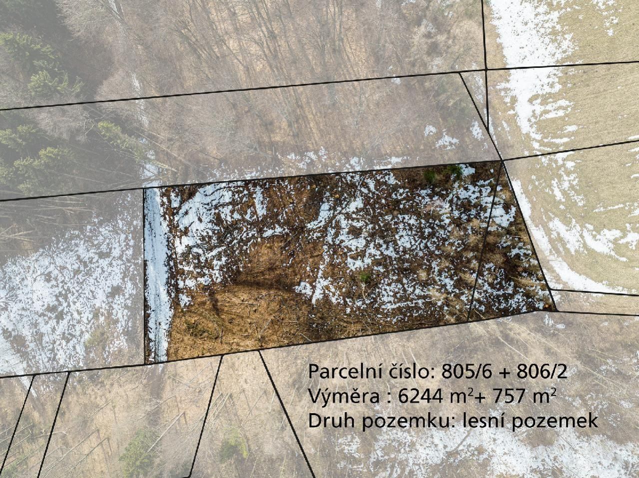 Lesní pozemky o výměře 7 001 m2, podíl 1/1, k.ú. Hostice, okres Olomouc