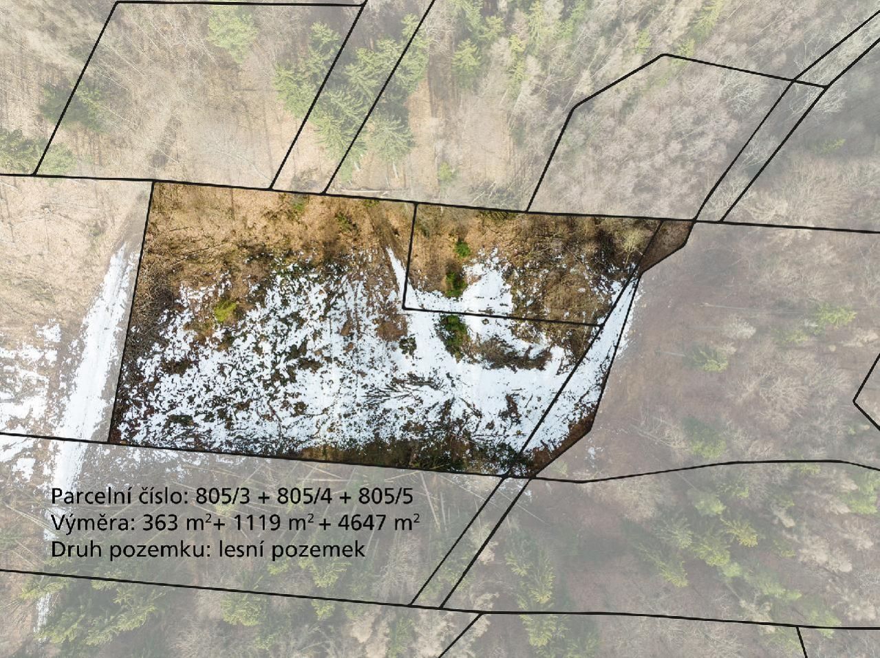 Lesní pozemky o výměře 6 129 m2, podíl 1/1, k.ú. Hostice, okres Olomouc, obrázek č. 1