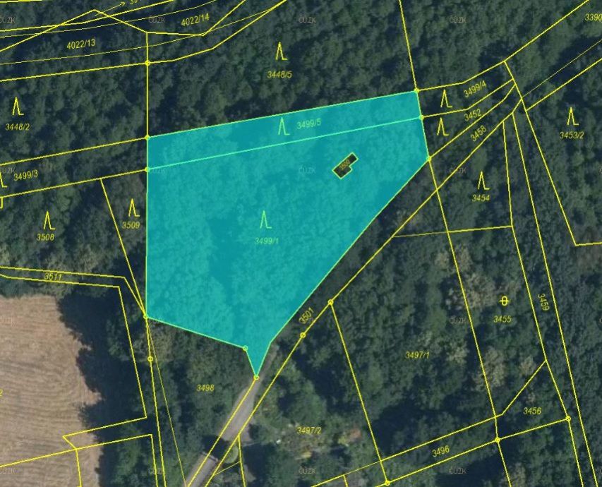 Lesní pozemky o výměře 2 761 m2, podíl 1/1, k.ú. Petřvald u Karviné, okres Karviná, obrázek č. 2