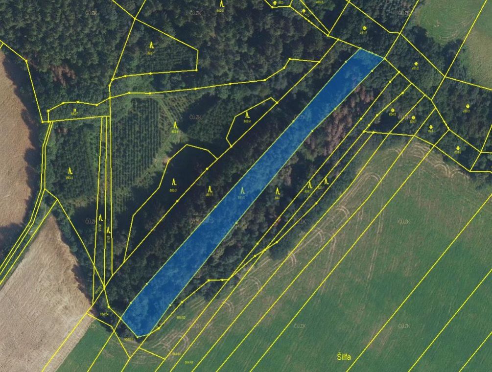 Lesní pozemek o výměře 4 479 m2, podíl 1/1, k.ú. Rovensko, okres Šumperk, obrázek č. 2