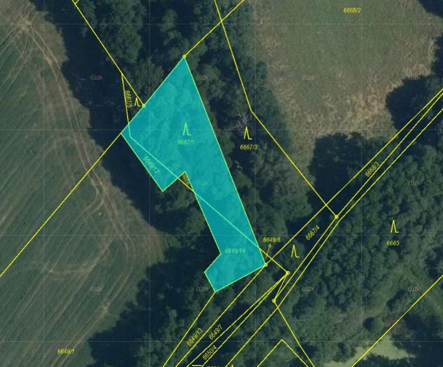 Lesní pozemek a orná půda o výměře 1 387 m2, podíl 1/1, k.ú. Rychvald, okres Karviná, obrázek č. 2