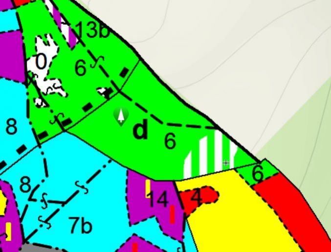 Lesní pozemek o výměře 15 408 m2, podíl 1/1, k.ú. Horní Hynčina, okres Svitavy, obrázek č. 3