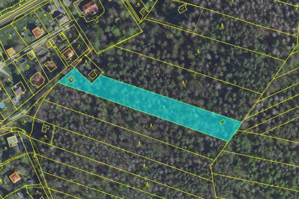 Lesní pozemek o výměře 5 186 m2, podíl 1/1, k.ú. Lštění, okres Benešov, obrázek č. 2