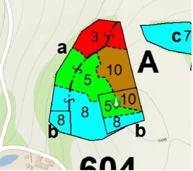 Lesní pozemek o výměře 4 500 m2, podíl 1/1, k.ú. Votice, okres Benešov, obrázek č. 2