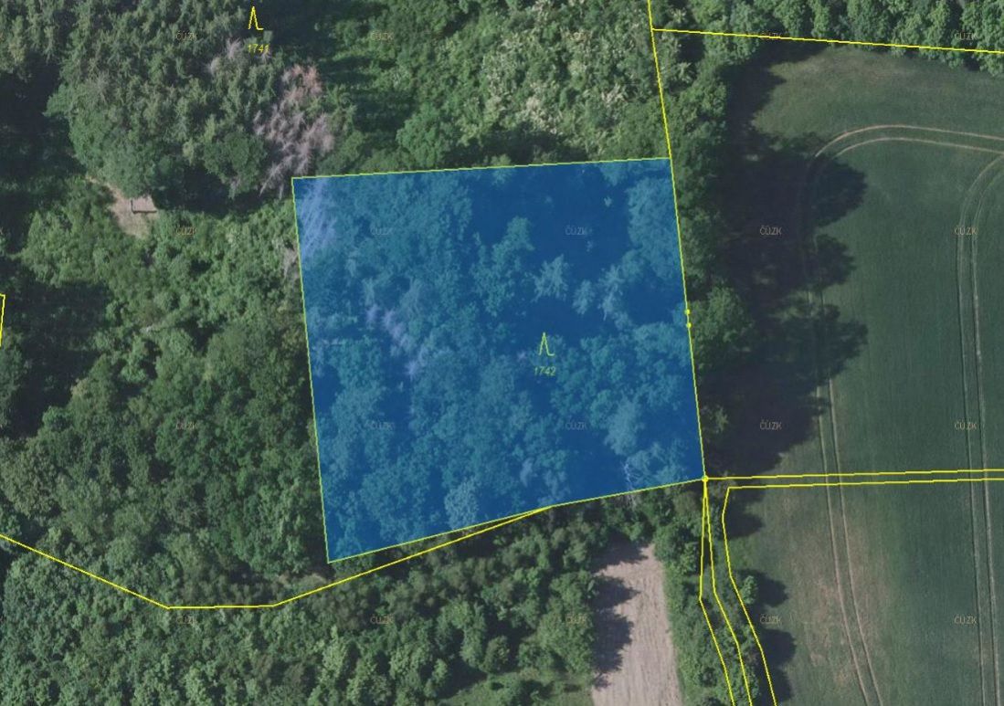 Lesní pozemek o výměře 4 500 m2, podíl 1/1, k.ú. Votice, okres Benešov, obrázek č. 3