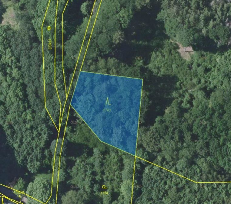 Lesní pozemek o výměře 1 292 m2, podíl 1/1, k.ú. Votice, okres Benešov, obrázek č. 2